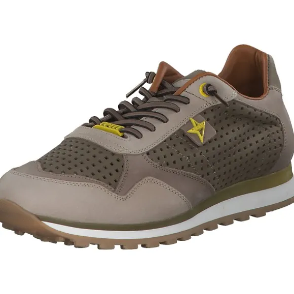 Cetti C848 EXP M, Klassische- & Business Schuhe, Herren, Beige