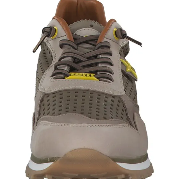 Cetti C848 EXP M, Klassische- & Business Schuhe, Herren, Beige