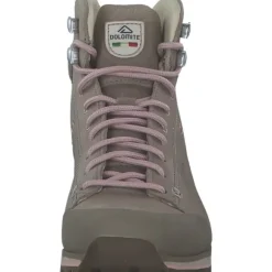Dolomite 292533-1325 high fg evo gtx w's, Wanderstiefel, Damen, ALUMINIUM GREY