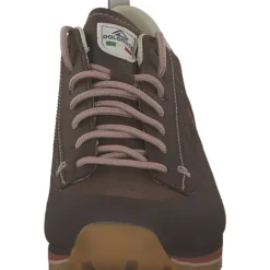 Dolomite 292534-0193 Low Fg Evo Gtx W'S , Wanderstiefel, Damen, brown