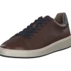 Marco Tozzi by Gmk 13601, Klassische- & Business Schuhe, Herren, Braun