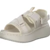 Steve Madden Decorum SM11003017, Keilsandaletten, Damen, bone bone